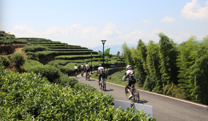 騎行尋茶香 柘榮嶺后茶村的別樣觀光體驗