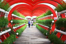 好嗨喲！農(nóng)業(yè)嘉年華五一火爆開(kāi)局，引爆休閑觀光新風(fēng)尚